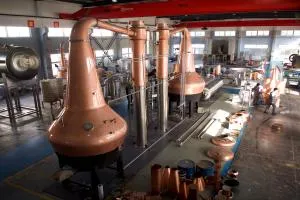 7 টি ভিন্ন ধরণের হুইস্কি সম্পর্কে আপনার জানা দরকার