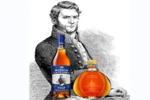 ব্র্যান্ডি ট্রিভিয়া